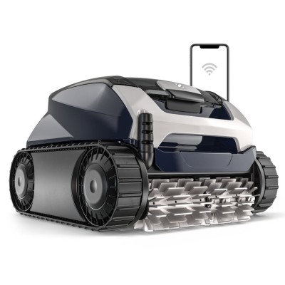 LIMPIAFONDOS VOYAGER RE...