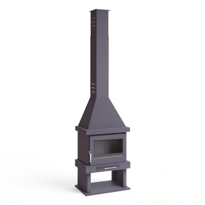 Chimenea de leña FM C-300...